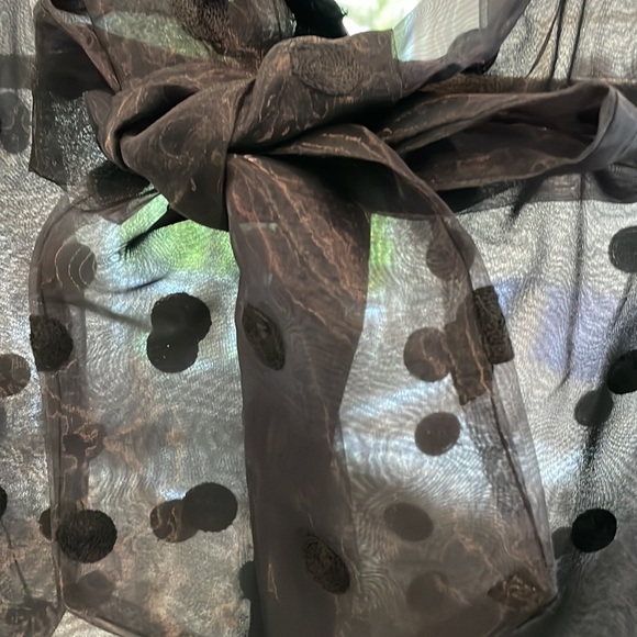 Zara sheer poof short sleeve polka-dot blouse with toe/bow. Black XS - Picture 8 of 8